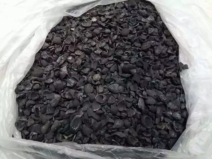 carvão de casca de palmito