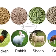 动物饲料 通过颗粒机用于动物饲料