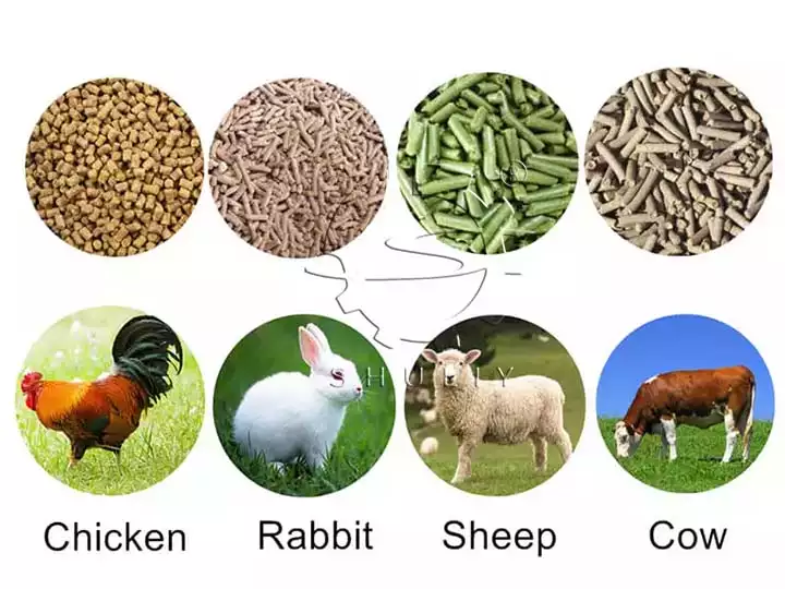 تغذية الحيوانات بواسطة آلة بيليه لتغذية الحيوانات
