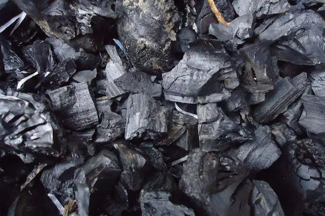 الفحم الحيوي