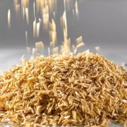 cascas de arroz