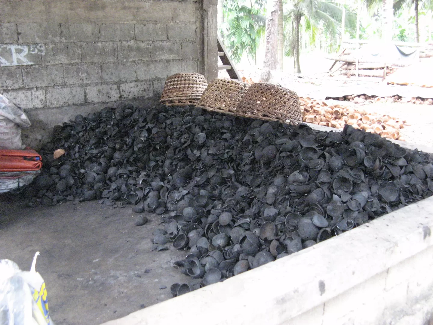 charbon de coco