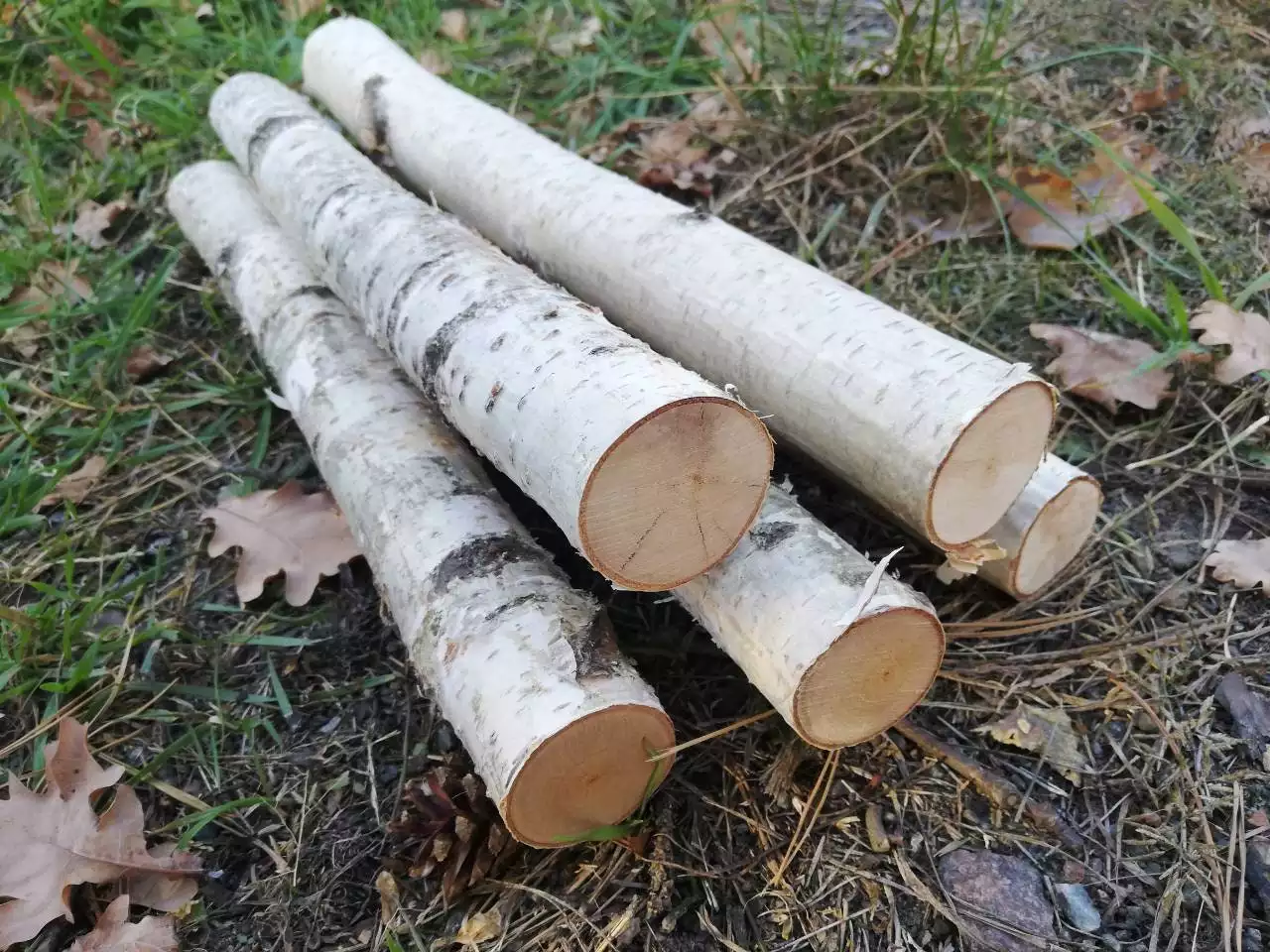 wood logs to be peeled
